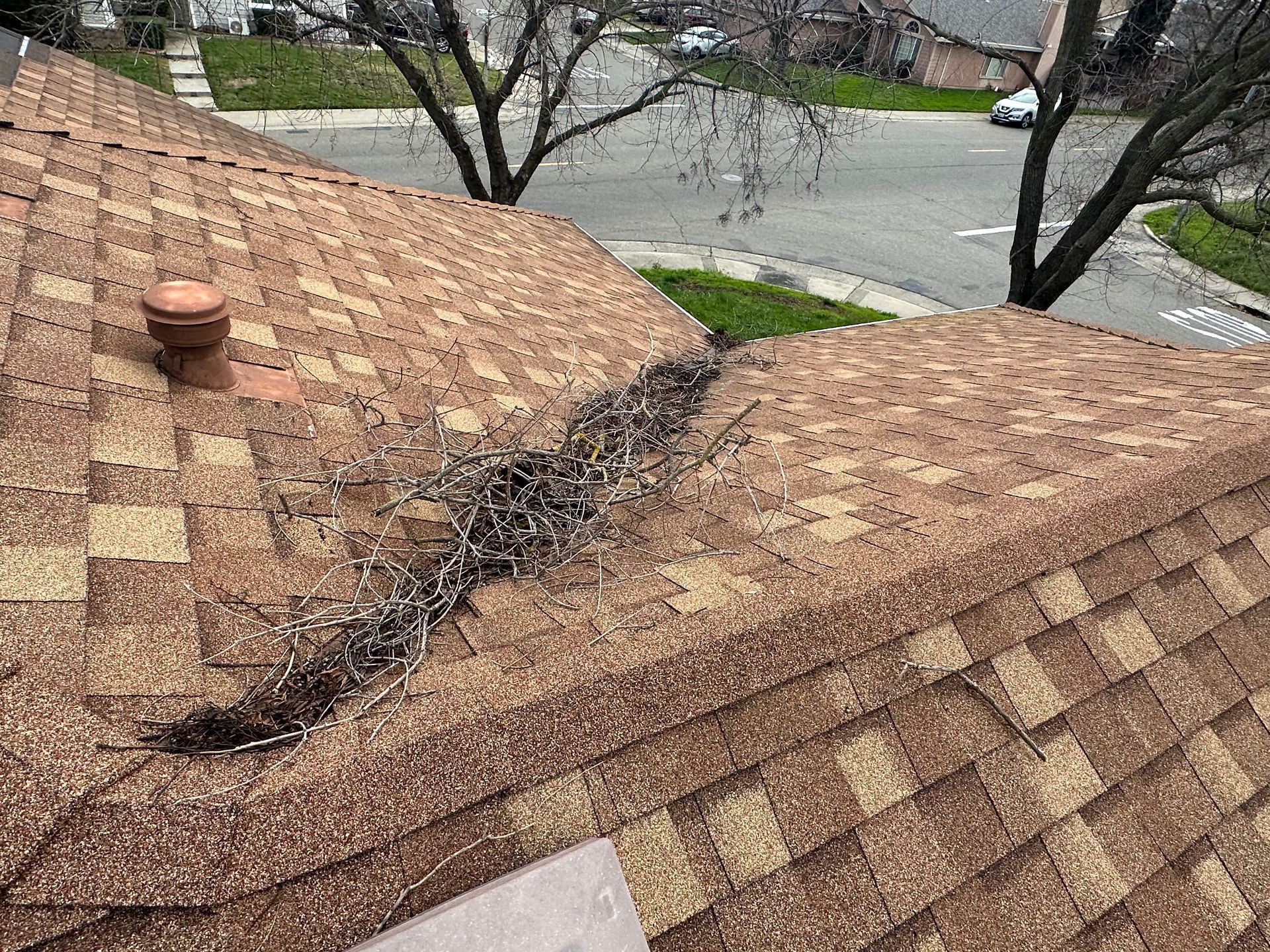 There is a bird nest on the roof of a house.