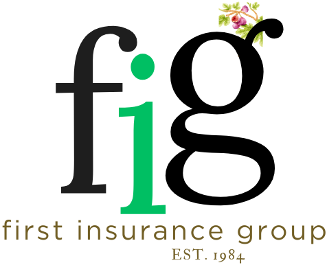 First Insurance Group Of MD