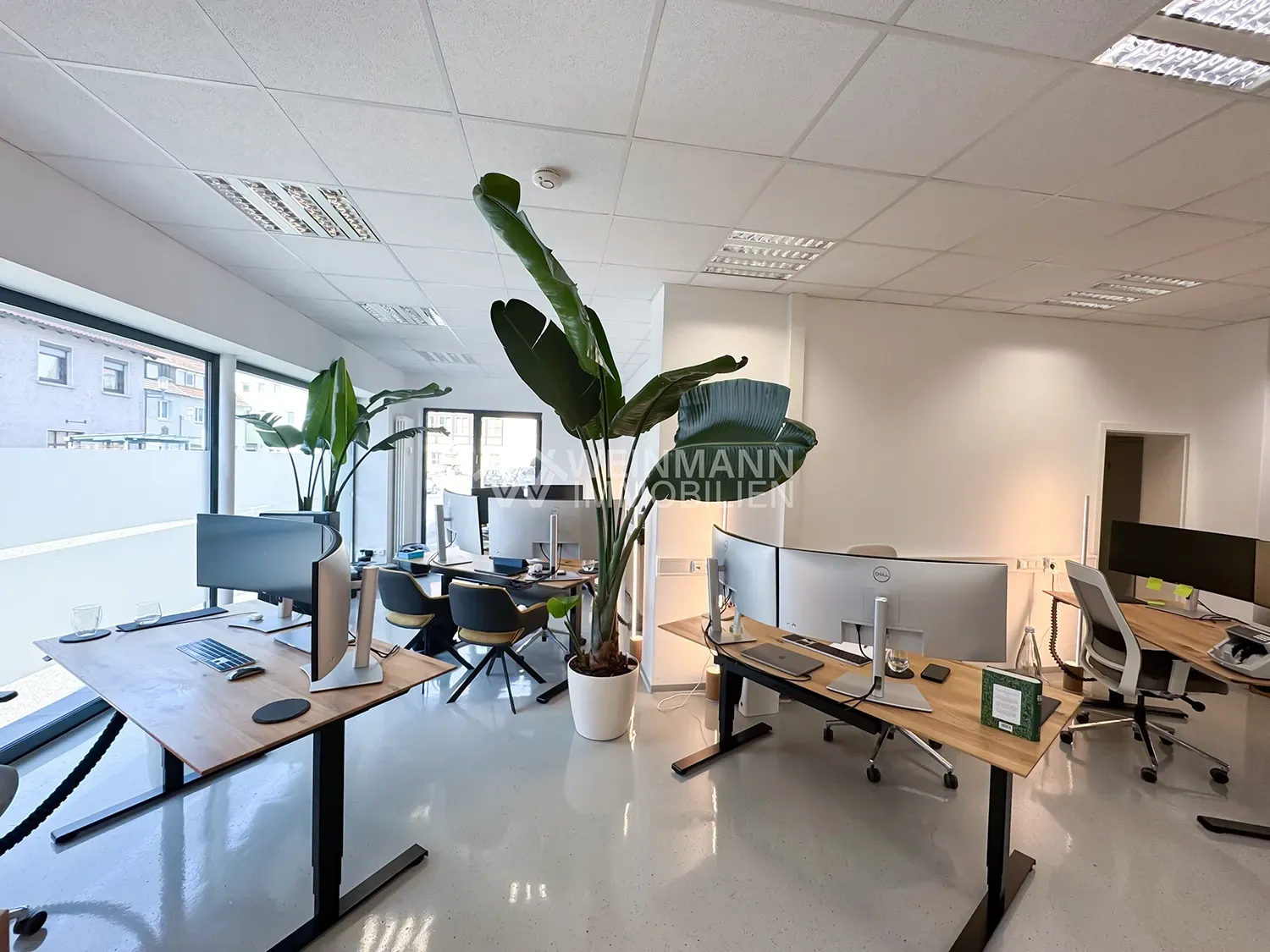 EG Büro WuG Löwenstein