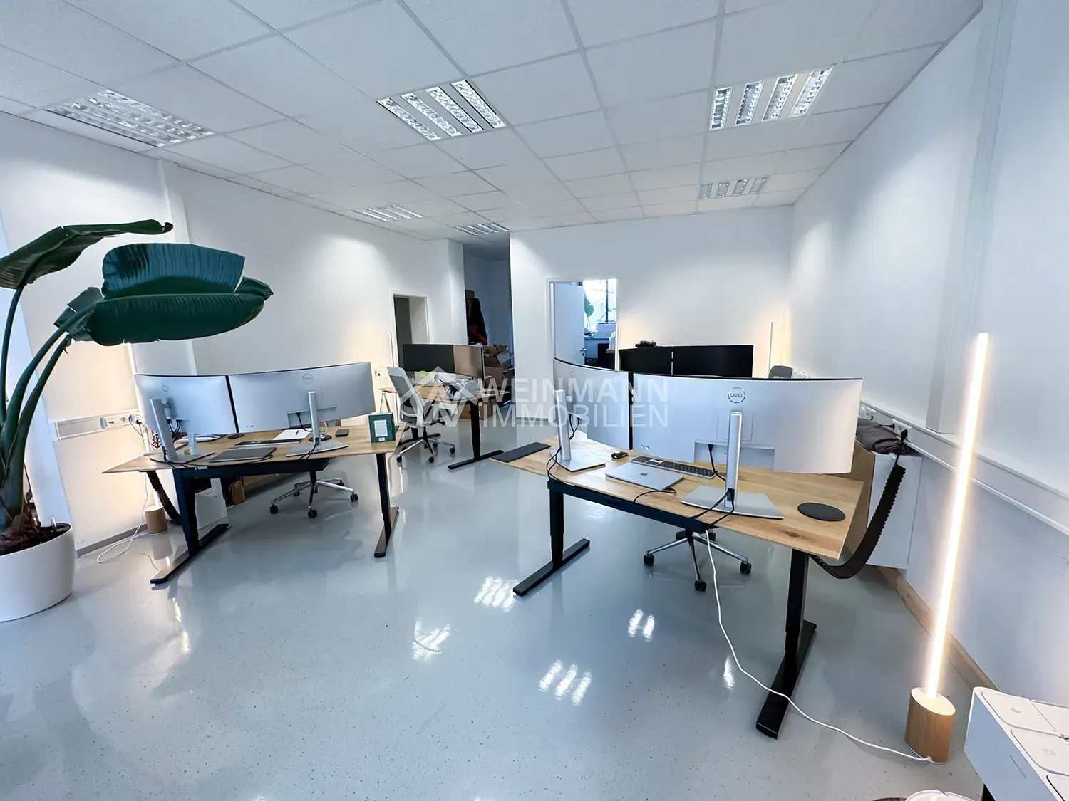 EG Büro WuG Löwenstein
