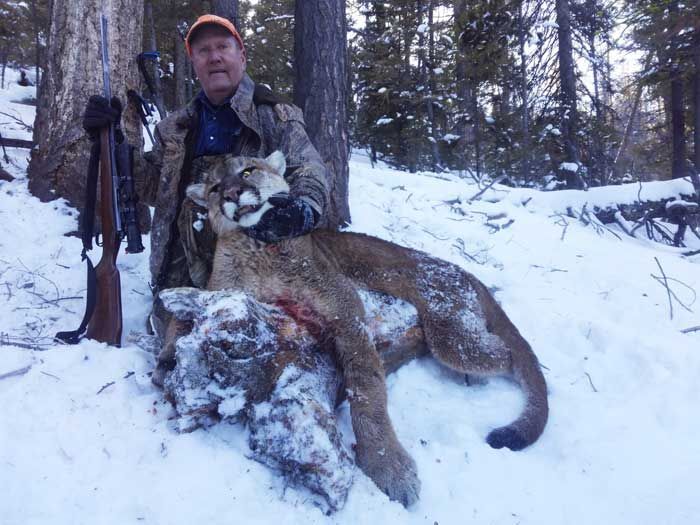 Lion Hunts Gallery Image