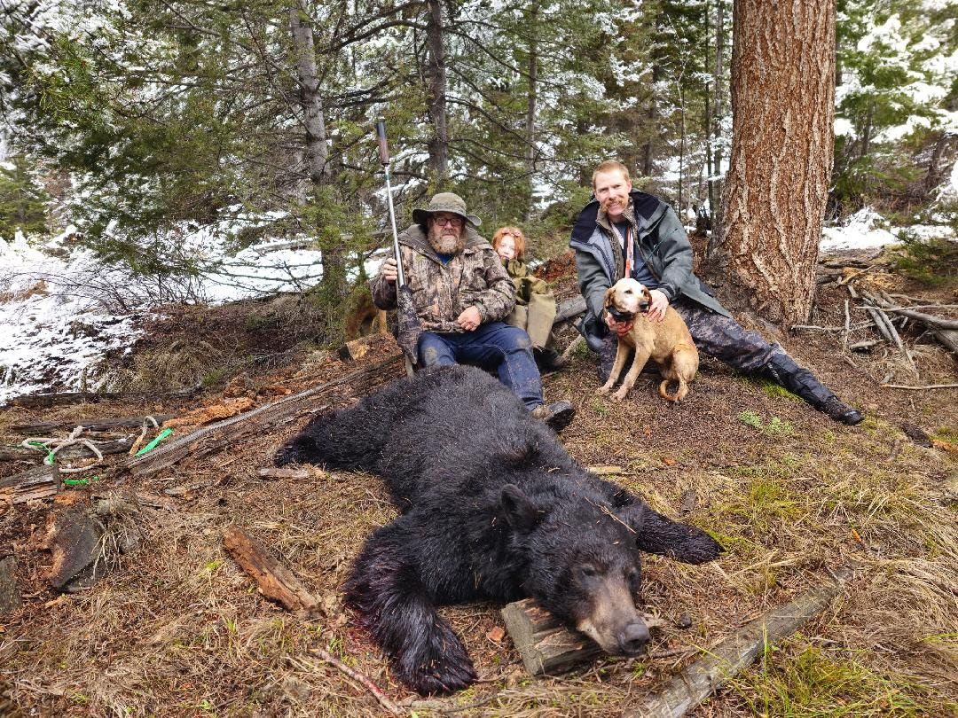 Elk Hunts Gallery Image