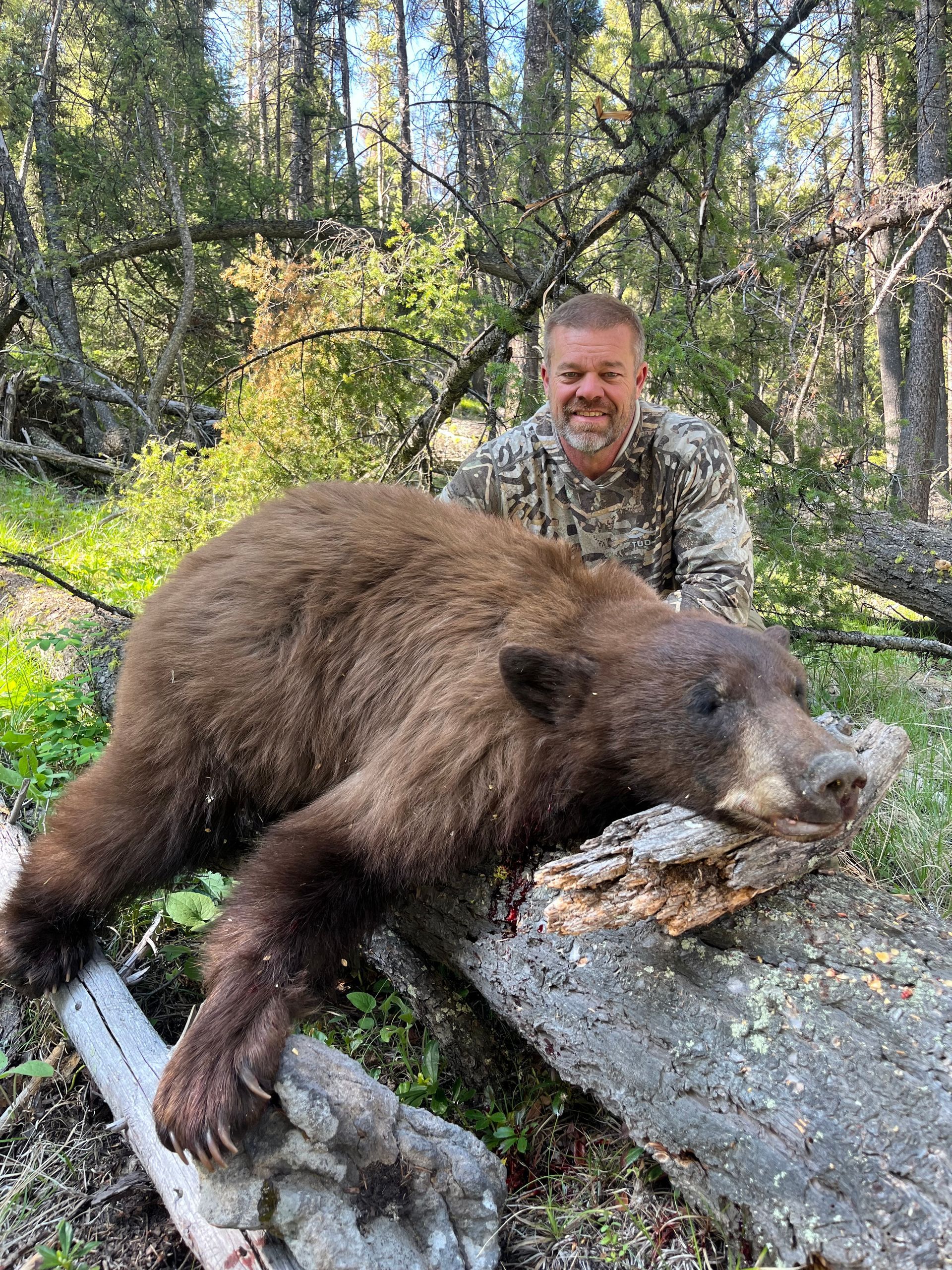 Elk Hunts Gallery Image