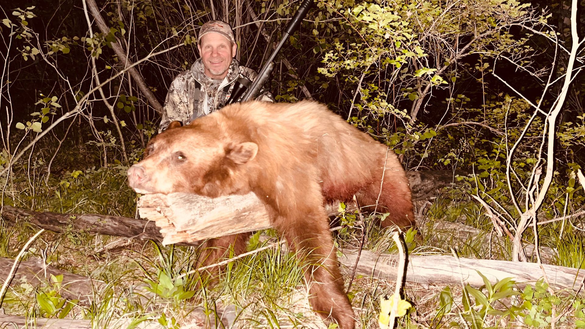 Elk Hunts Gallery Image