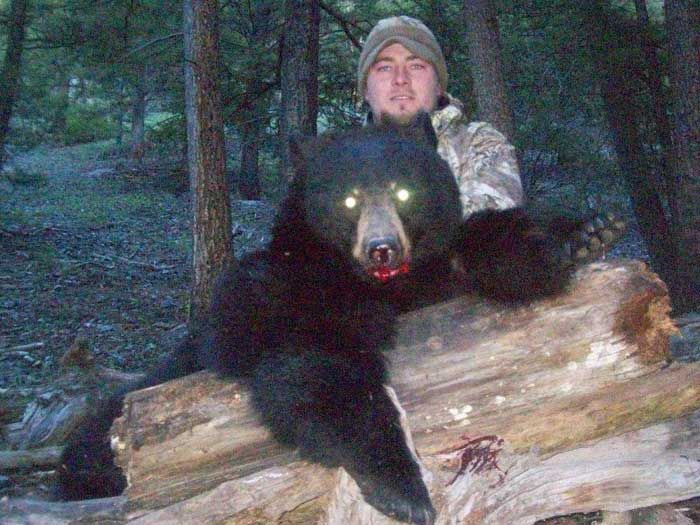 Bear Hunts Gallery Image
