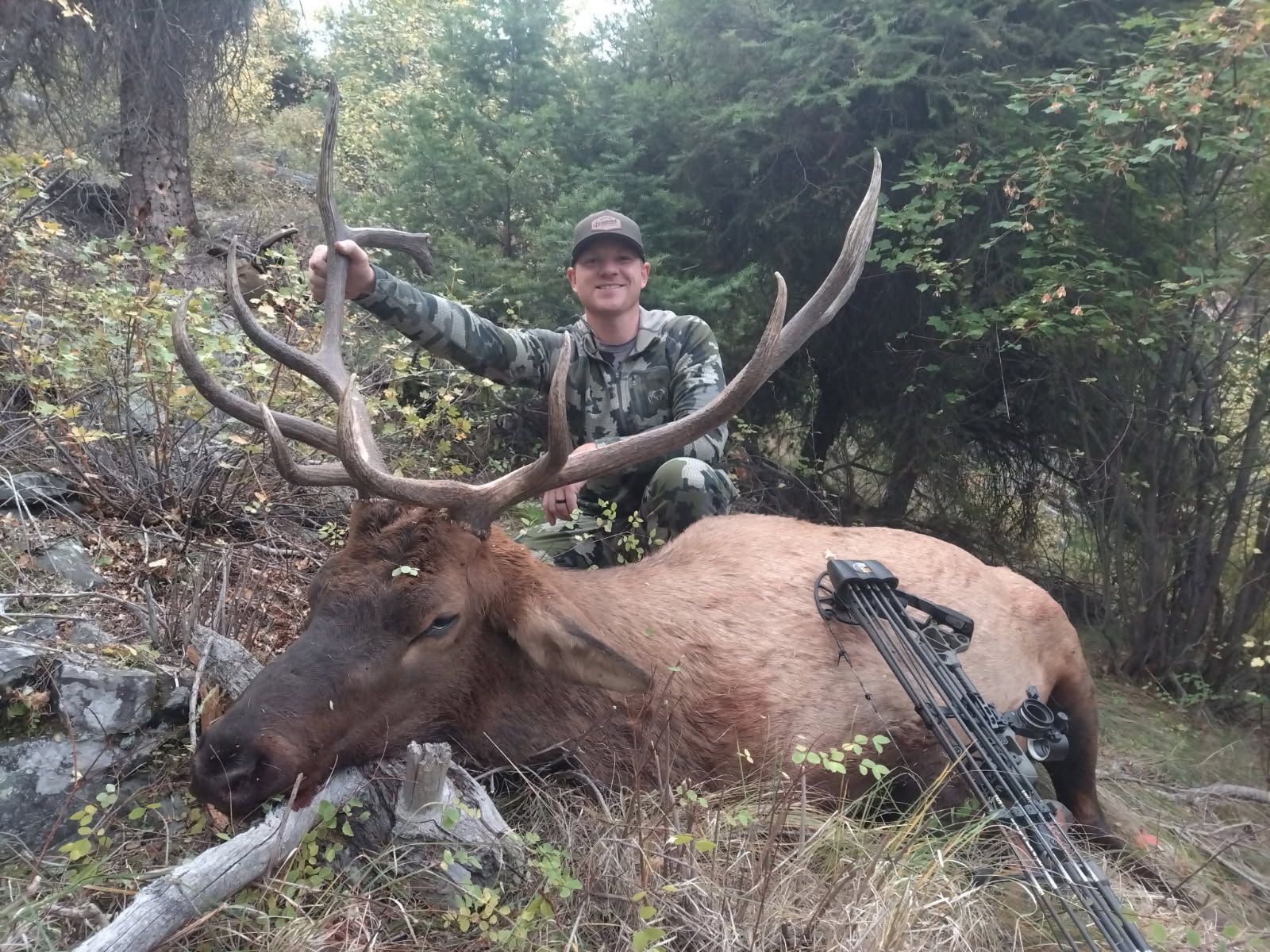 Elk Hunts Gallery Image