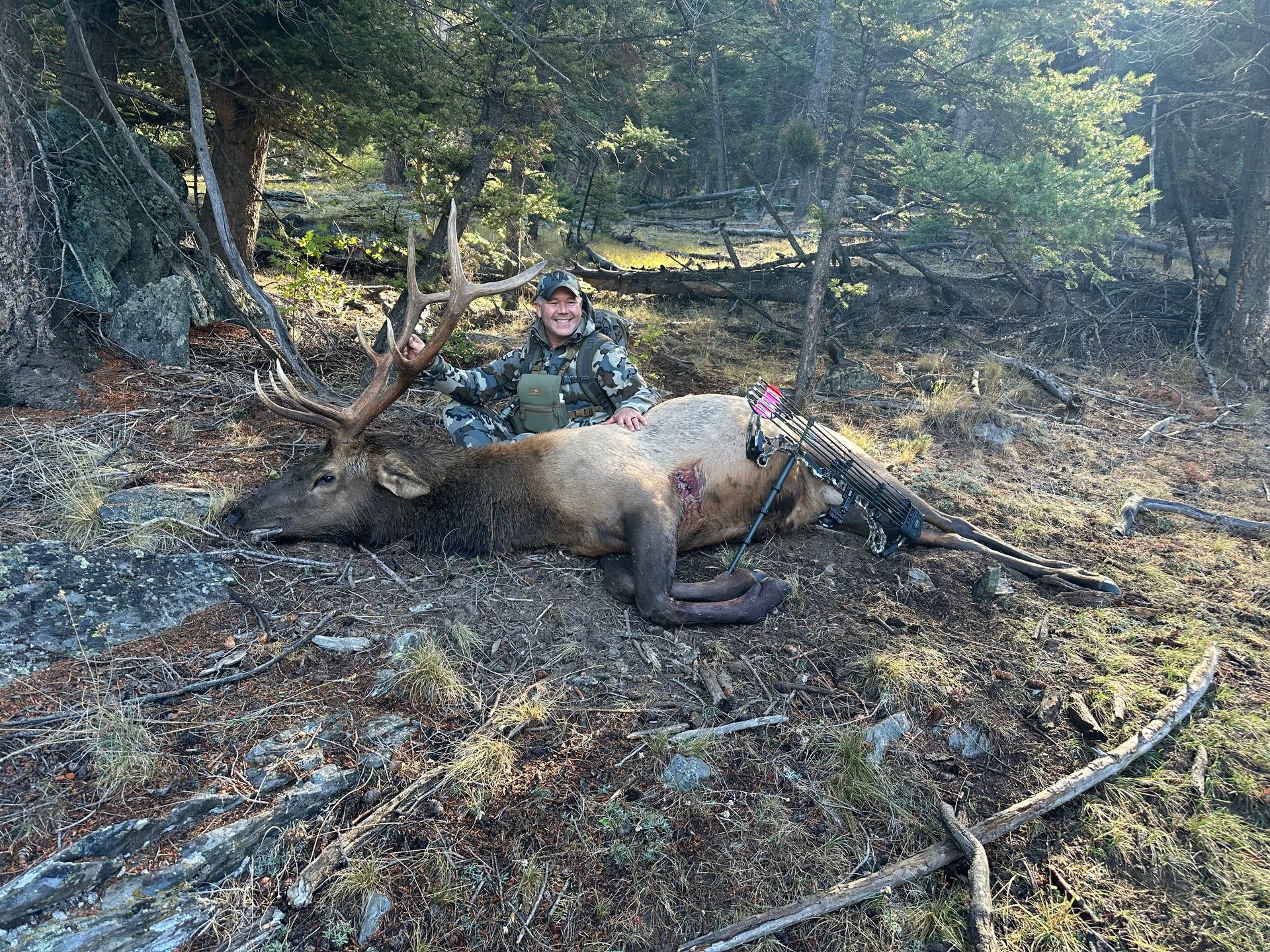Elk Hunts Gallery Image
