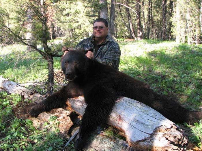 Bear Hunts Gallery Image