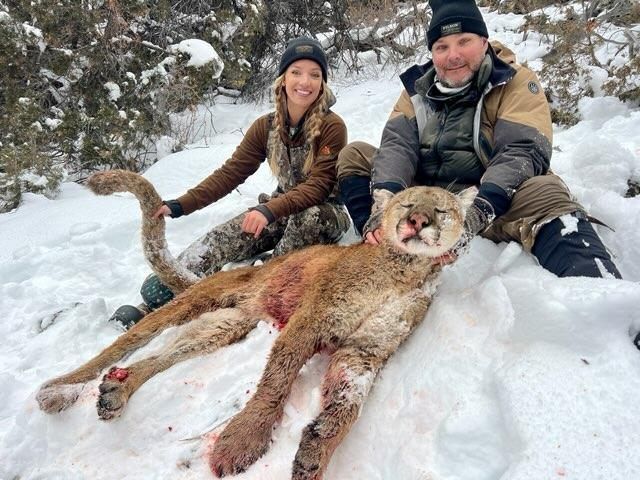 Lion Hunts Gallery Image
