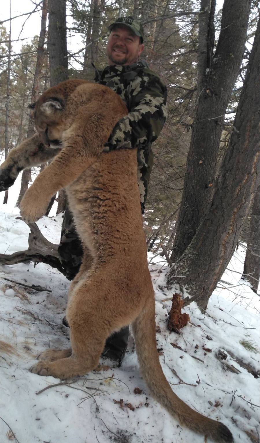 Lion Hunts Gallery Image