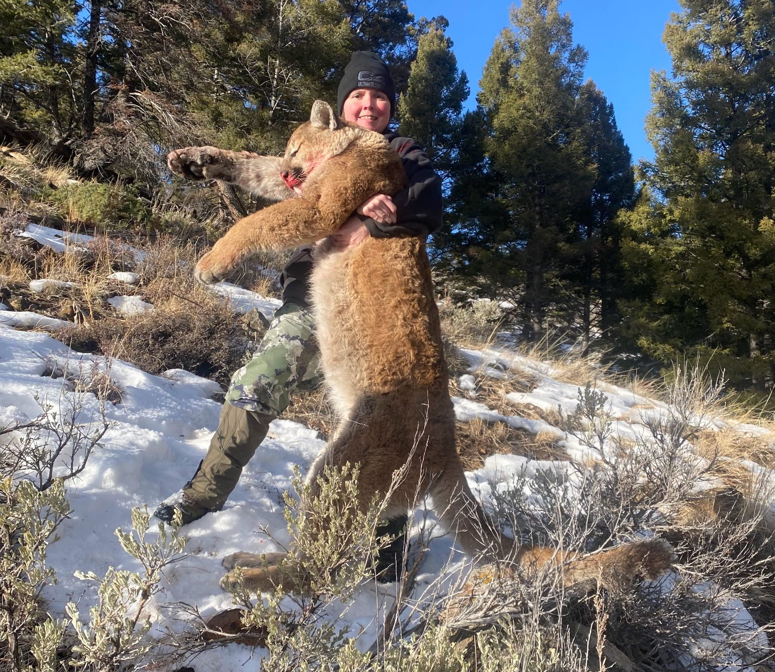 Lion Hunts Gallery Image
