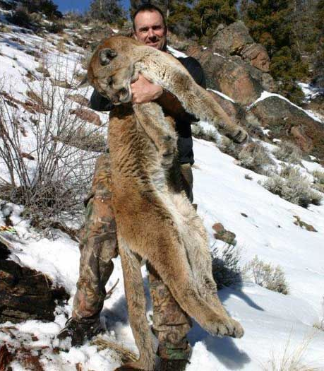 Lion Hunts Gallery Image