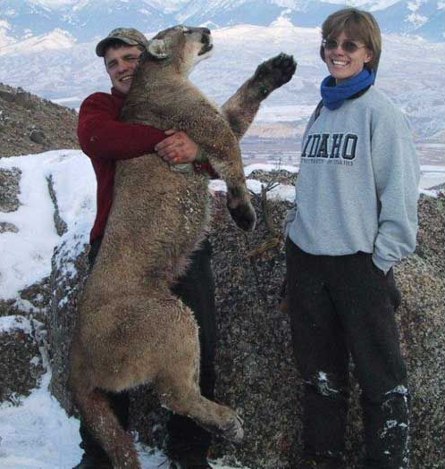 Lion Hunts Gallery Image