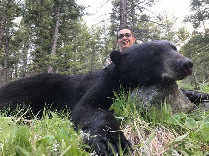 Bear Hunts Gallery Image