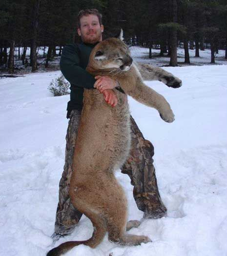 Lion Hunts Gallery Image