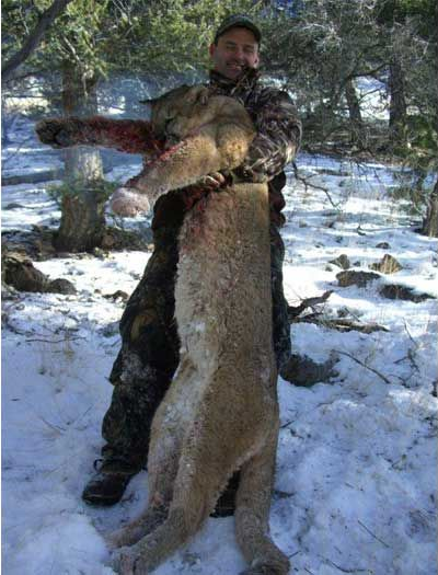 Lion Hunts Gallery Image