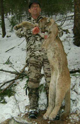 Lion Hunts Gallery Image