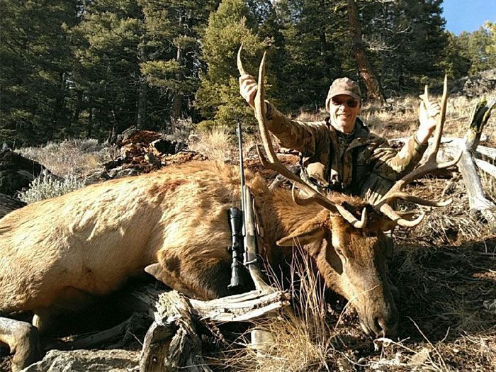Elk Hunts Gallery Image