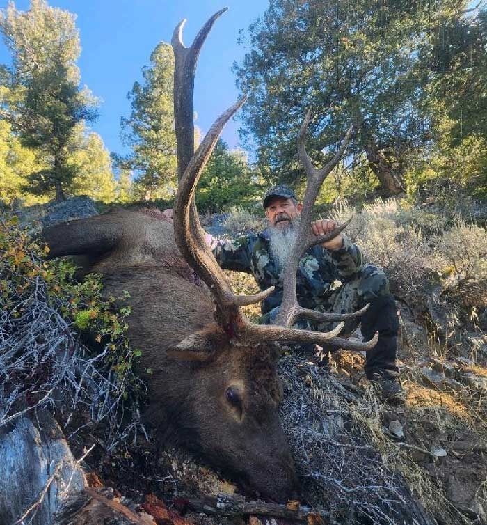 Elk Hunts Gallery Image