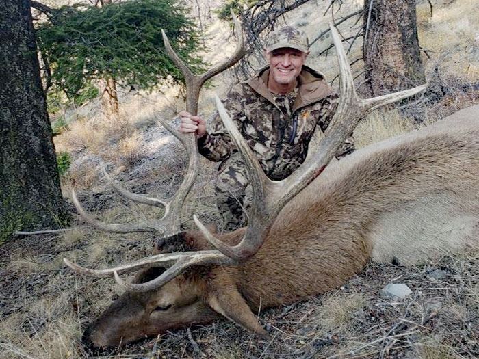 Elk Hunts Gallery Image