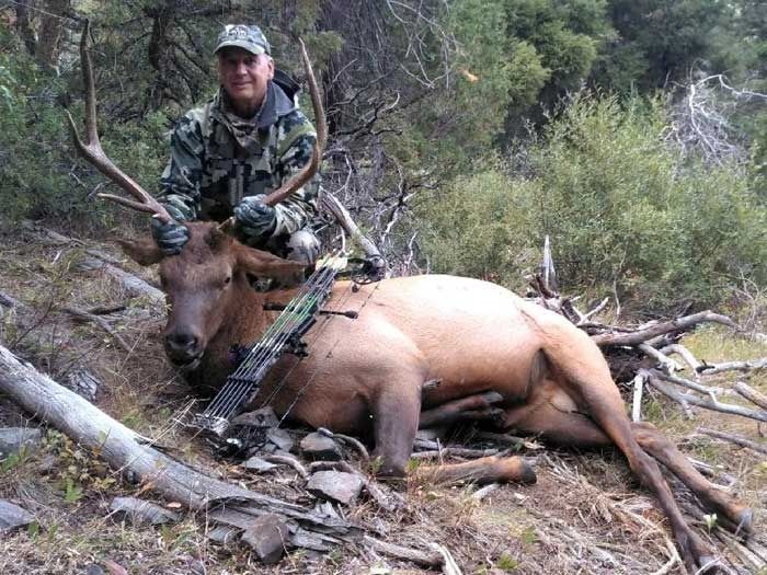 Elk Hunts Gallery Image
