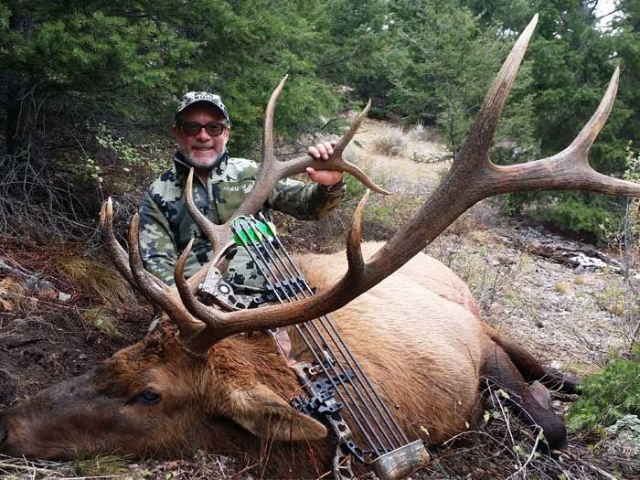Elk Hunts Gallery Image