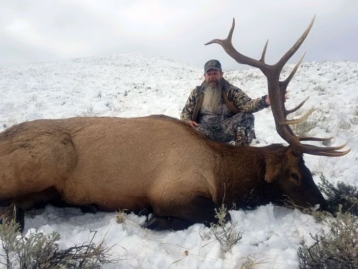 Elk Hunts Gallery Image