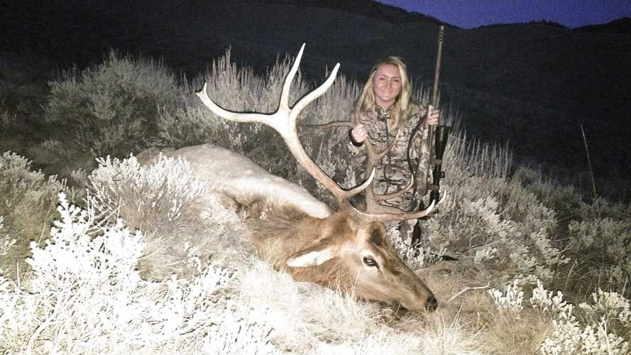 Elk Hunts Gallery Image
