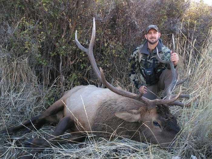 Elk Hunts Gallery Image