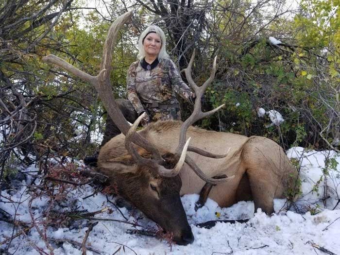 Elk Hunts Gallery Image