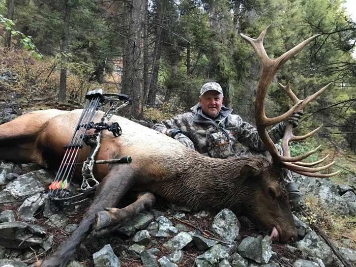 Elk Hunts Gallery Image