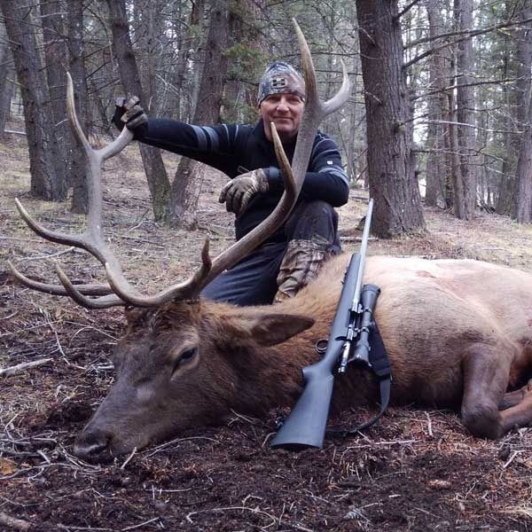 Elk Hunts Gallery Image