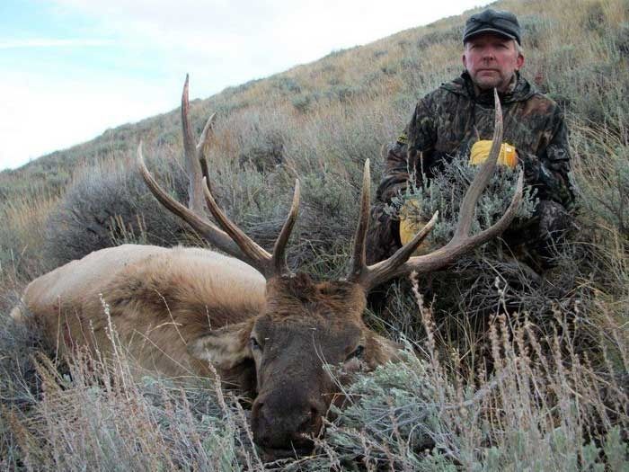 Elk Hunts Gallery Image