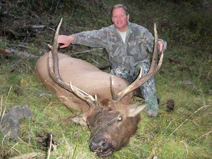 Elk Hunts Gallery Image