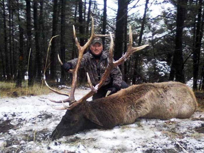 Elk Hunts Gallery Image