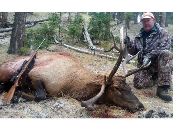 Elk Hunts Gallery Image