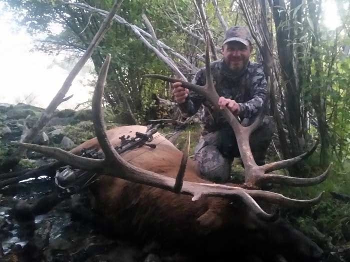 Elk Hunts Gallery Image