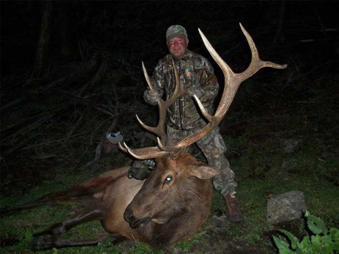 Elk Hunts Gallery Image