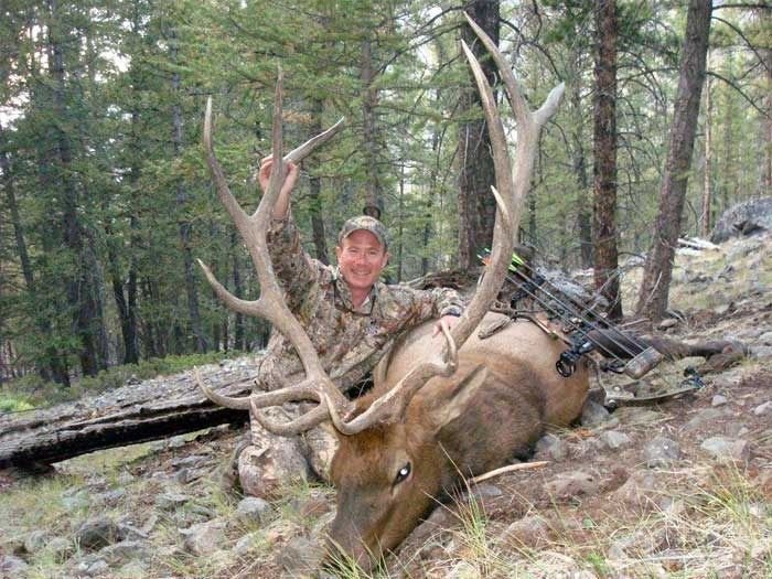 Elk Hunts Gallery Image