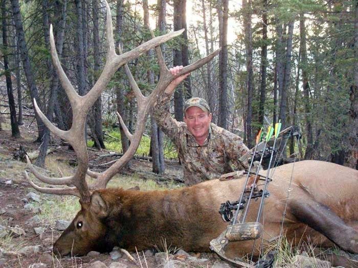 Elk Hunts Gallery Image