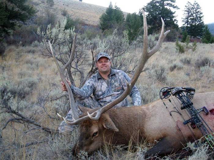 Elk Hunts Gallery Image