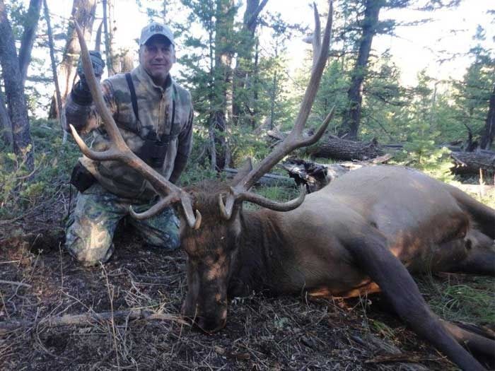Elk Hunts Gallery Image