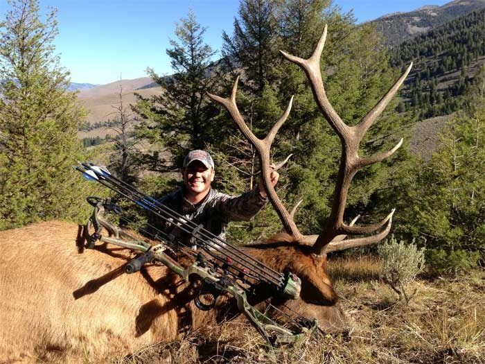 Elk Hunts Gallery Image