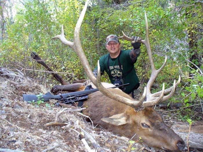 Elk Hunts Gallery Image