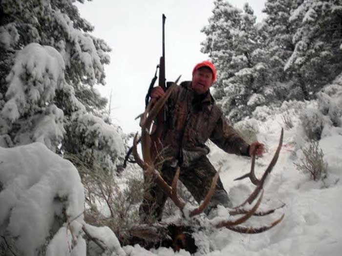 Elk Hunts Gallery Image