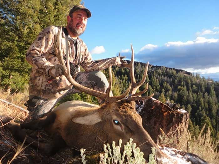 Elk Hunts Gallery Image