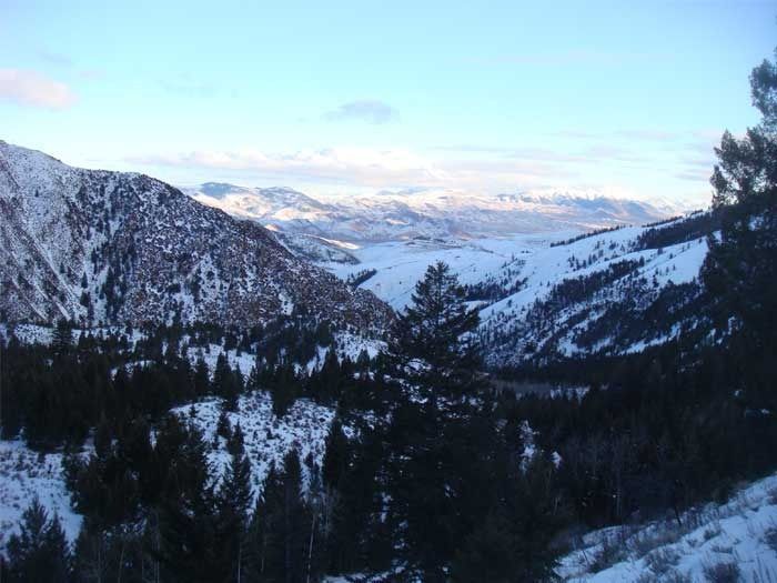 Elk Hunts Gallery Image