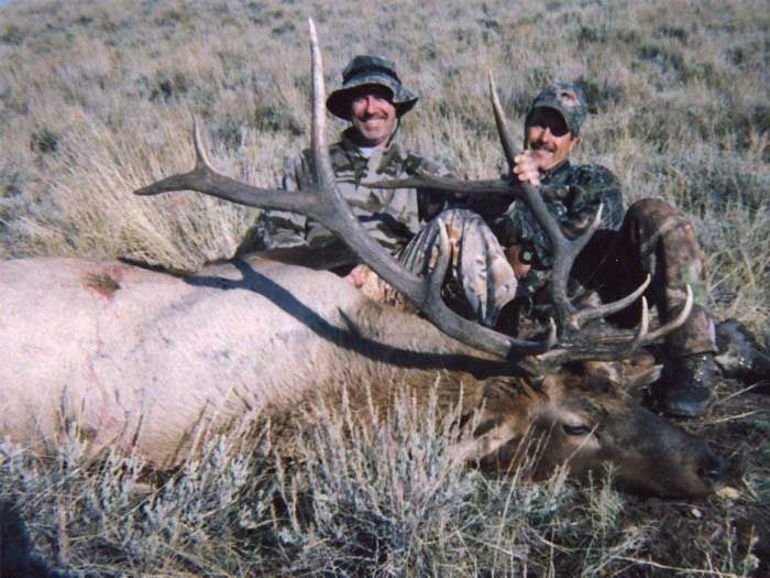 Elk Hunts Gallery Image