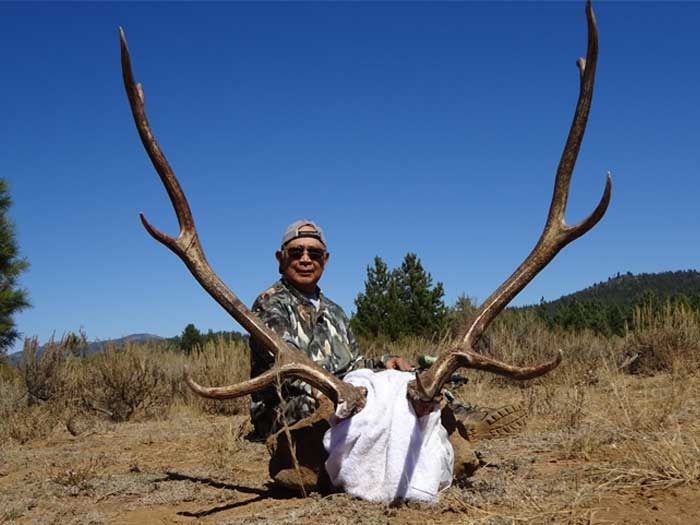 Elk Hunts Gallery Image