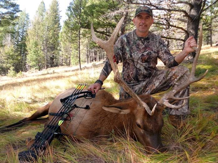 Elk Hunts Gallery Image